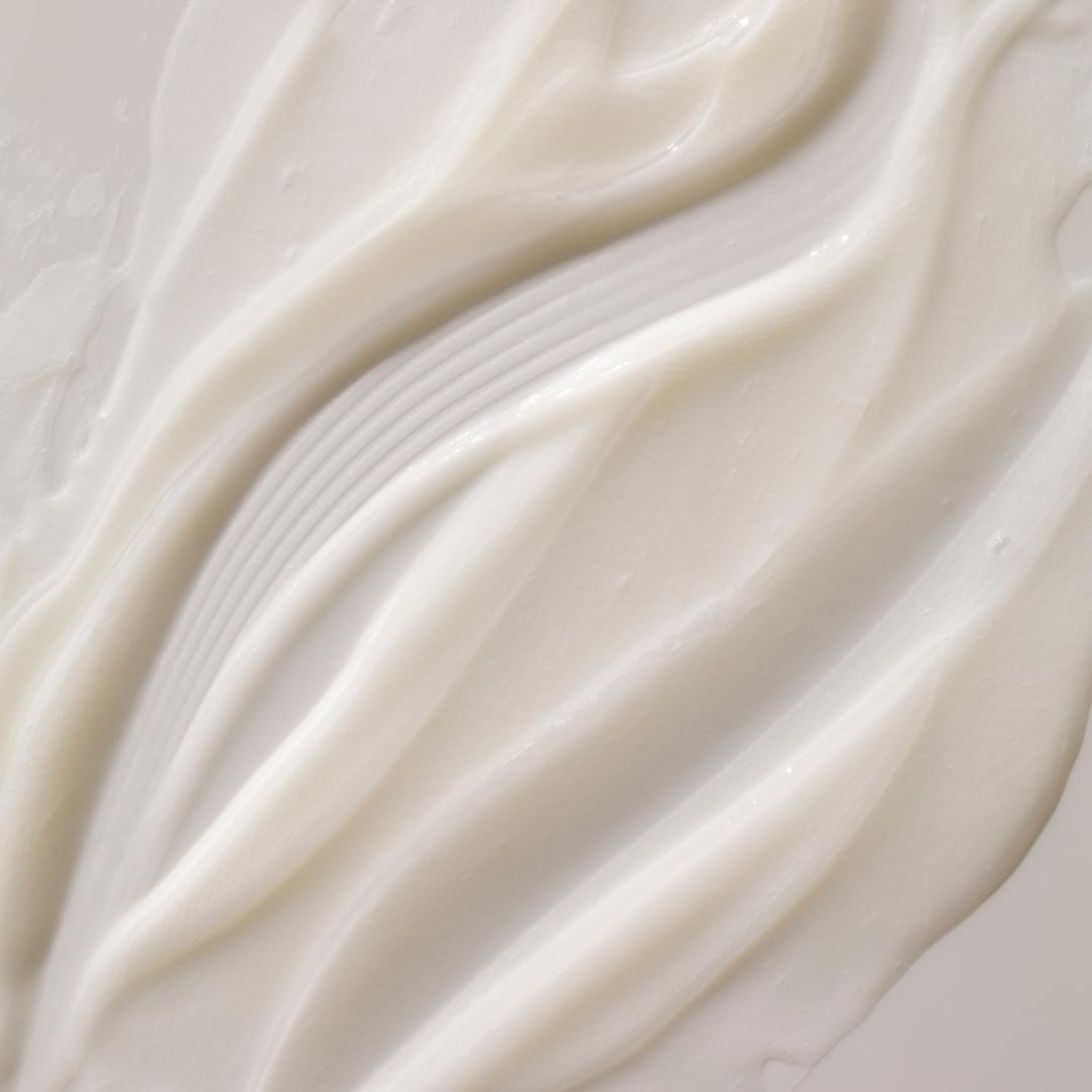 All Day Everyday Conditioner