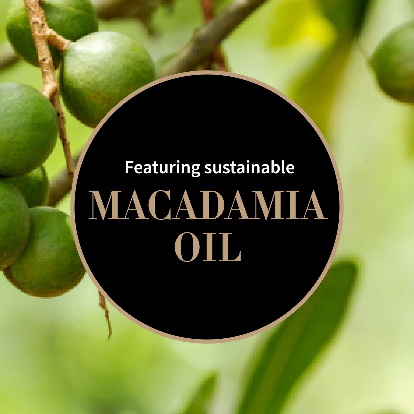 Infographic with sustainably Sourced macadamia nut