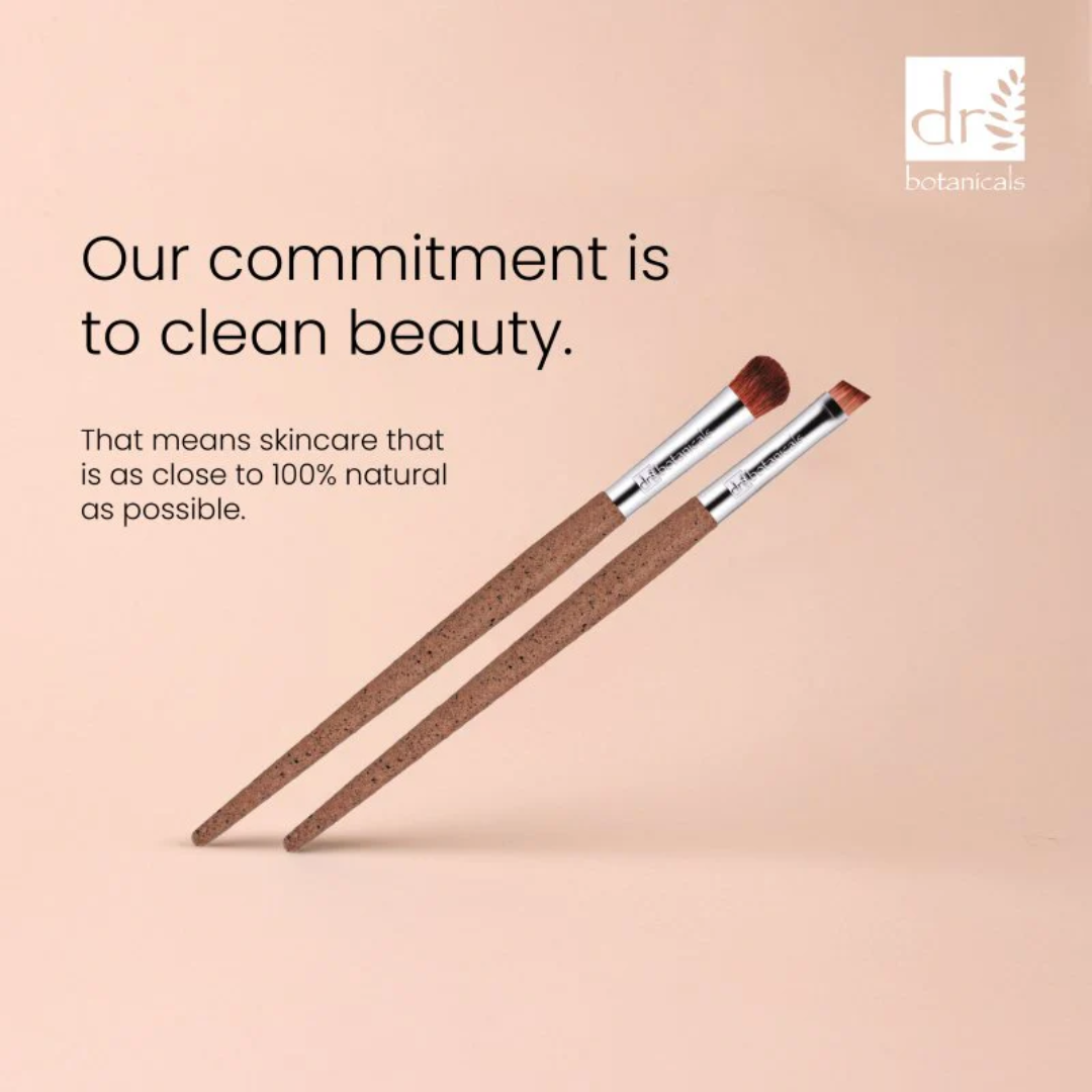 Set of 2 Eye Brushes