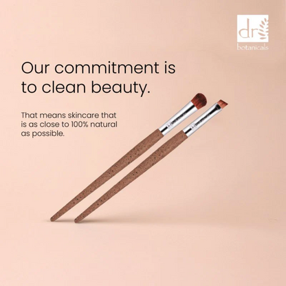 Set of 2 Eye Brushes