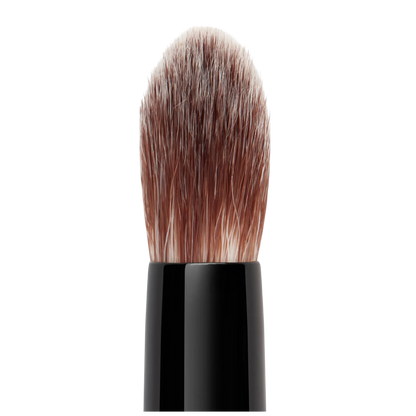Blender Brush