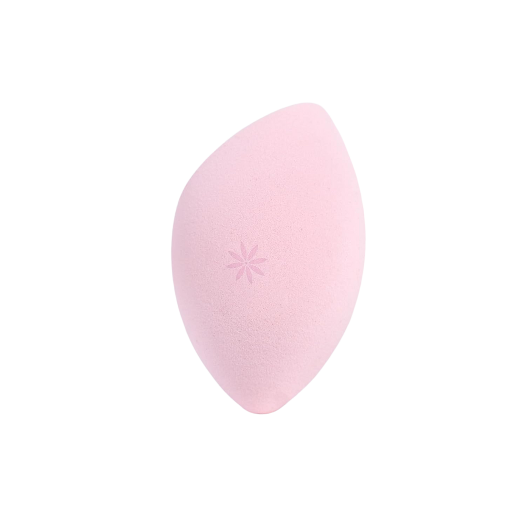 Body Blender Sponge