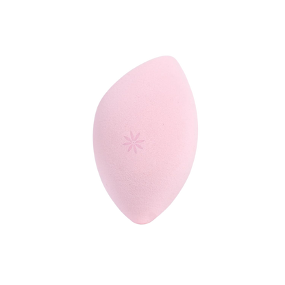 Body Blender Sponge
