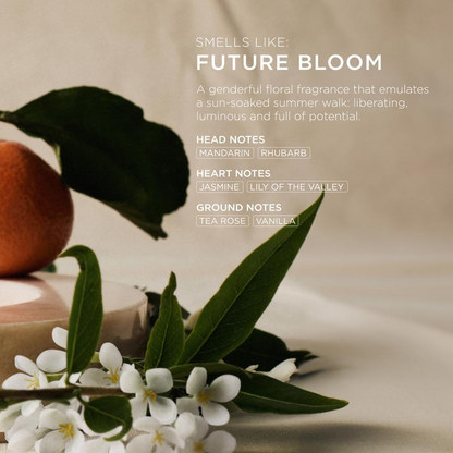 Arkive Shampoo & Conditioner 1L Set