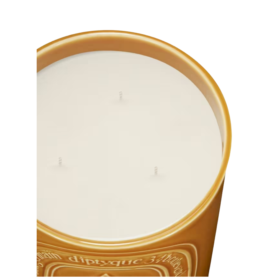Figuier Candle